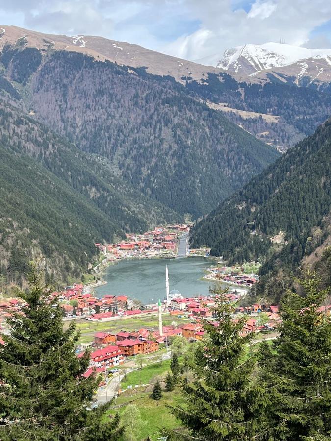 New Doga Resort Hotel Uzungöl Buitenkant foto